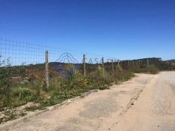 Terreno para Venda em Nogueira do Cravo e Pindelo
