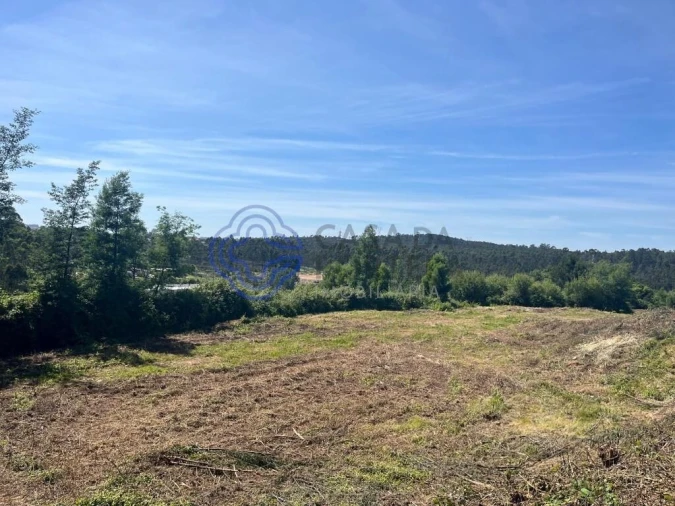 Terreno para Venda em Nogueira do Cravo e Pindelo Foto 7