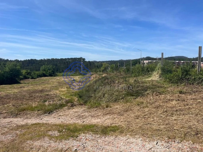 Terreno para Venda em Nogueira do Cravo e Pindelo Foto 8