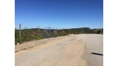 Terreno para Venda em Nogueira do Cravo e Pindelo