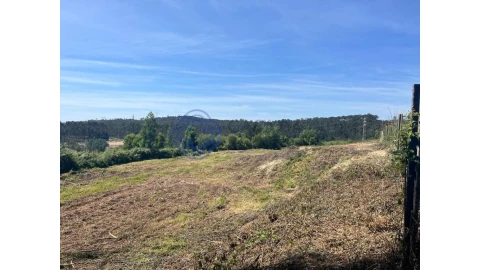 Terreno para Venda em Nogueira do Cravo e Pindelo