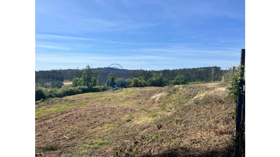 Terreno para Venda em Nogueira do Cravo e Pindelo Foto 17