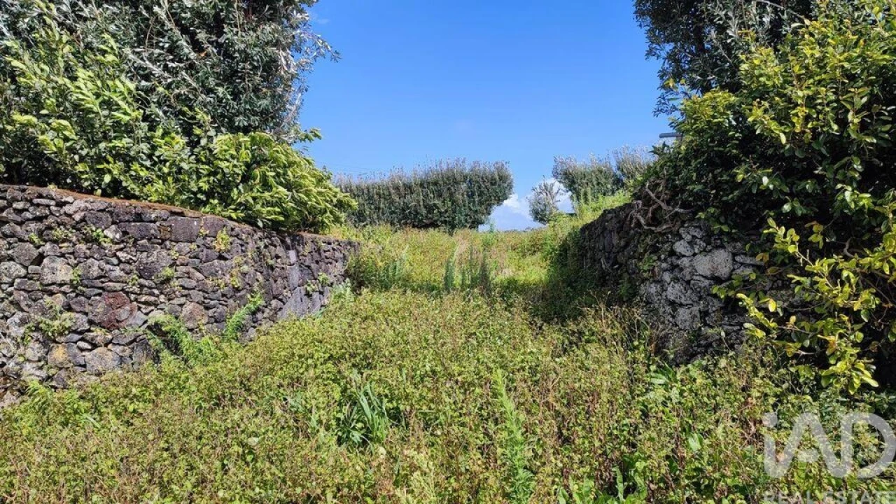 Terreno para Venda em Rabo de Peixe Foto 20