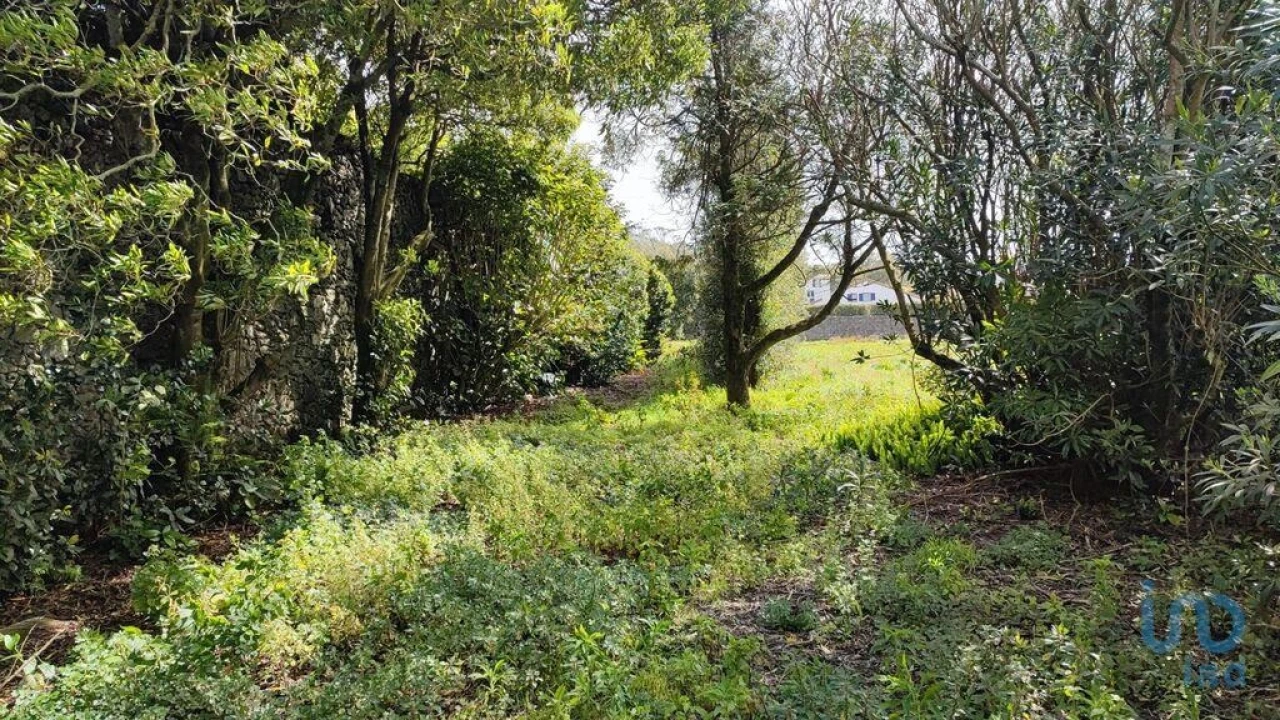 Terreno para Venda em Rabo de Peixe Foto 11