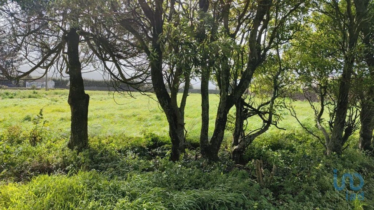 Terreno para Venda em Rabo de Peixe Foto 1