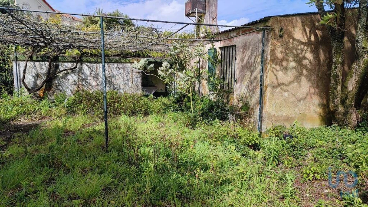 Terreno para Venda em Rabo de Peixe Foto 7