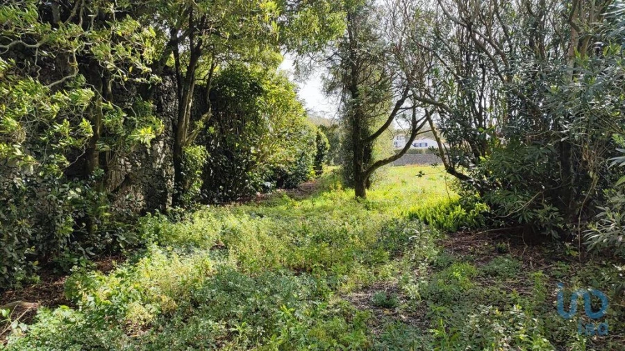 Terreno para Venda em Rabo de Peixe Foto 11