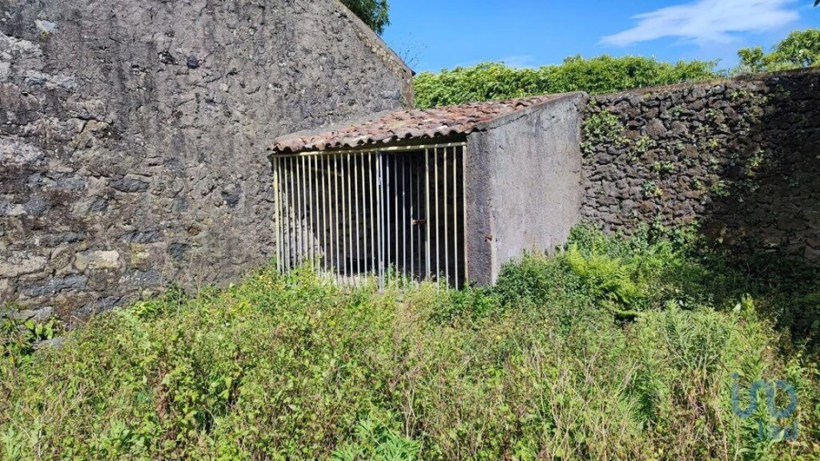 Terreno para Venda em Rabo de Peixe Foto 9