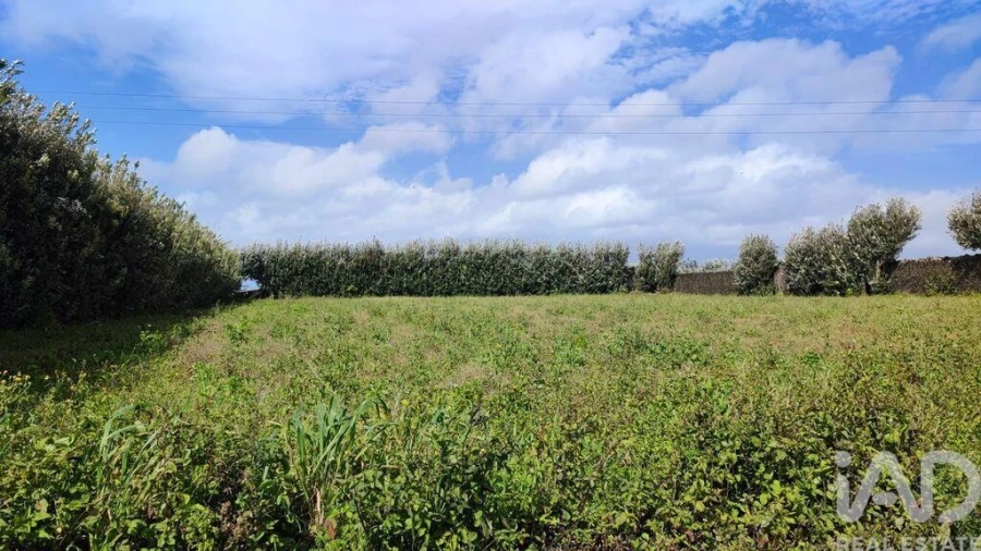 Terreno para Venda em Rabo de Peixe Foto 23