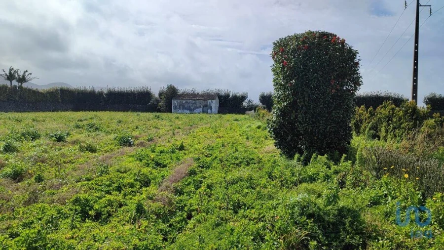 Terreno para Venda em Rabo de Peixe Foto 12