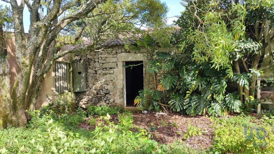 Terreno para Venda em Rabo de Peixe Foto 8