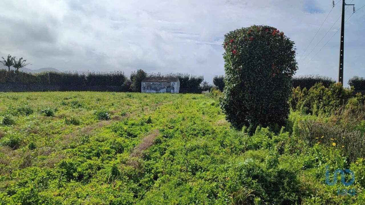 Terreno para Venda em Rabo de Peixe Foto 12
