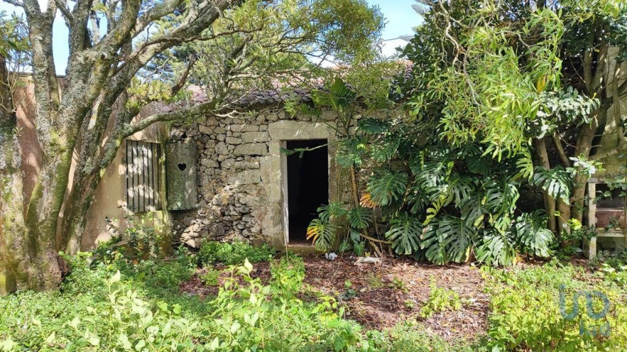 Terreno para Venda em Rabo de Peixe Foto 8