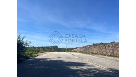 Terreno para Venda em Nogueira do Cravo e Pindelo