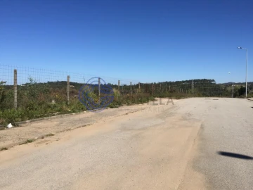 Terreno para Venda em Nogueira do Cravo e Pindelo