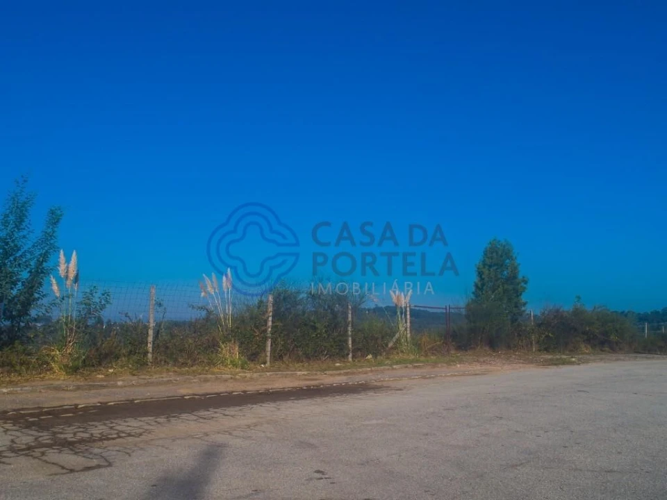 Terreno para Venda em Nogueira do Cravo e Pindelo Foto 14