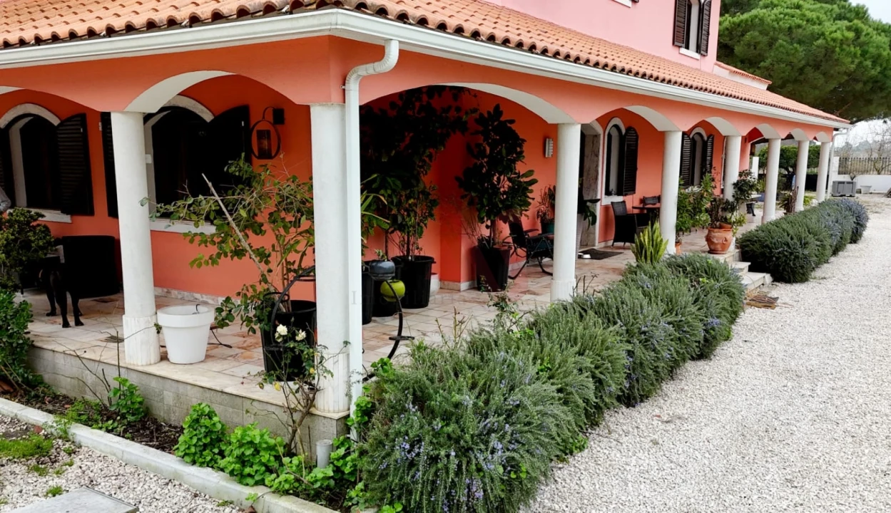 Quinta T7 para Venda em Samora Correia Foto 17