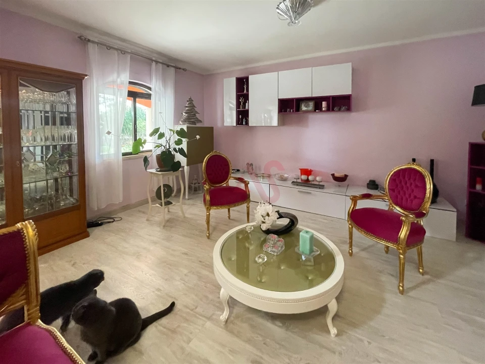 Quinta T7 para Venda em Samora Correia Foto 42