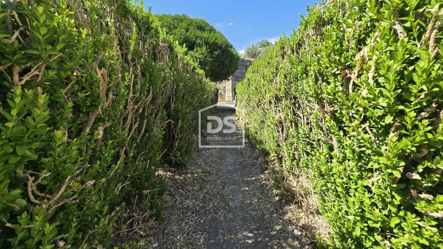 Moradia T21 para Venda em Tortosendo Foto 44