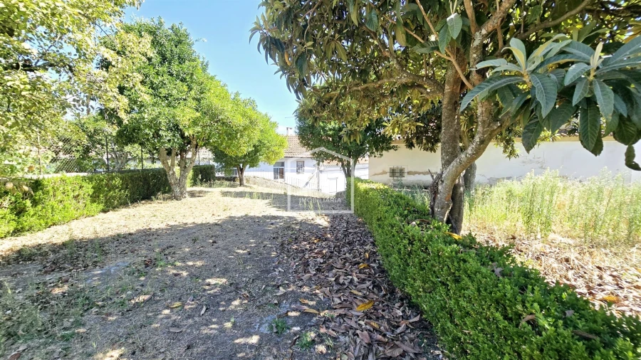 Moradia T21 para Venda em Tortosendo Foto 45