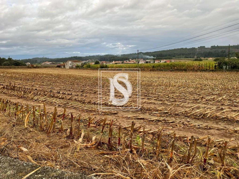Terreno para Venda em Vila do Conde Foto 4
