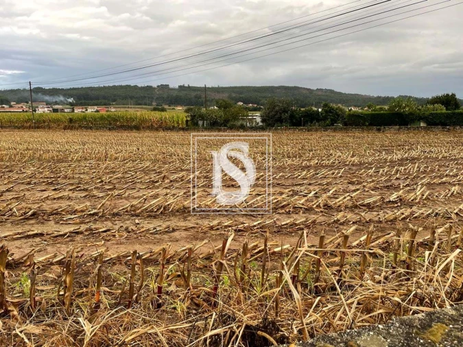 Terreno para Venda em Vila do Conde Foto 9