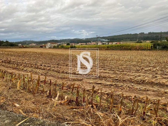 Terreno para Venda em Vila do Conde Foto 6