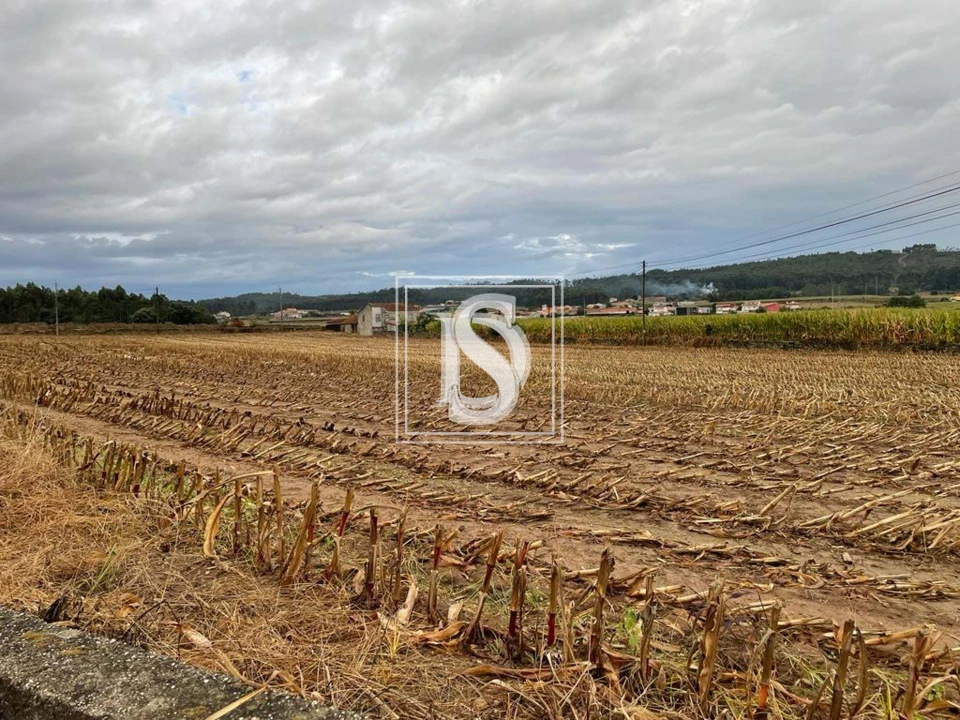 Terreno para Venda em Vila do Conde Foto 8