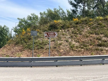 Terreno para Venda em Pedroso e Seixezelo
