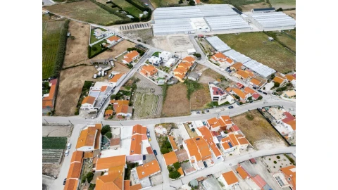 Terreno para Venda em Silveira