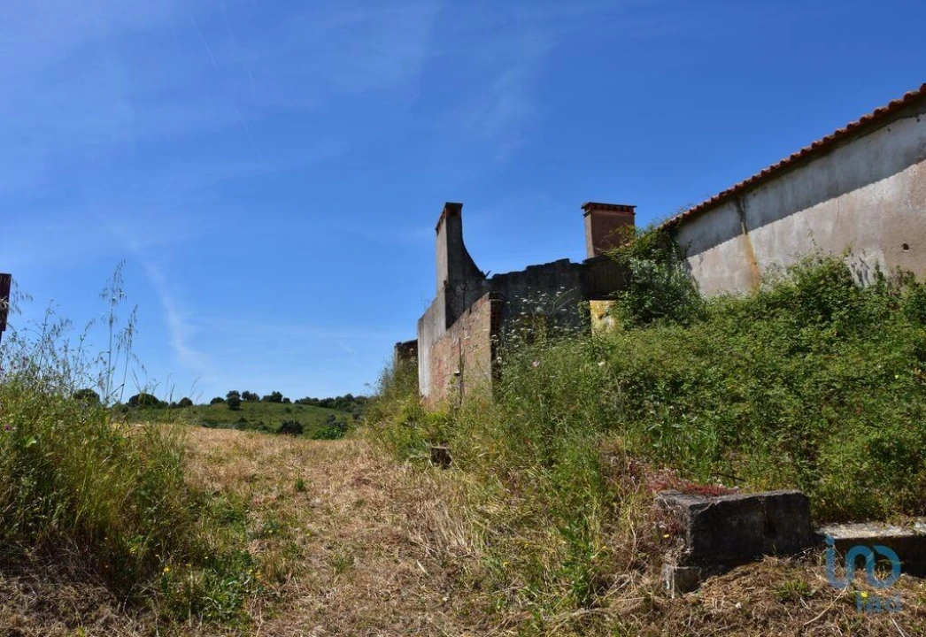Moradia T1 para Venda em Brogueira, Parceiros de Igreja e Alcorochel Foto 9