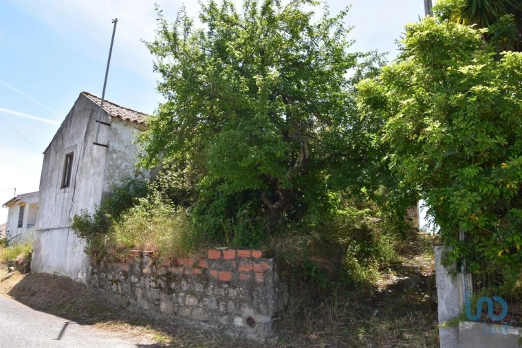 Moradia T1 para Venda em Brogueira, Parceiros de Igreja e Alcorochel Foto 5