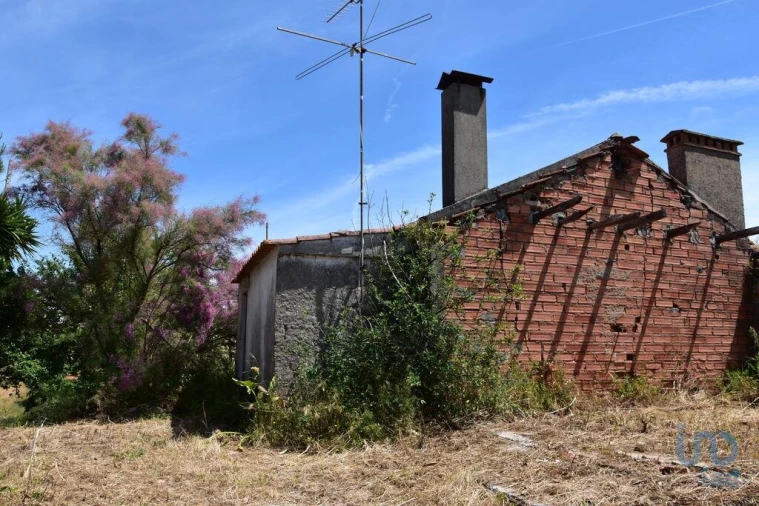 Moradia T1 para Venda em Brogueira, Parceiros de Igreja e Alcorochel Foto 7
