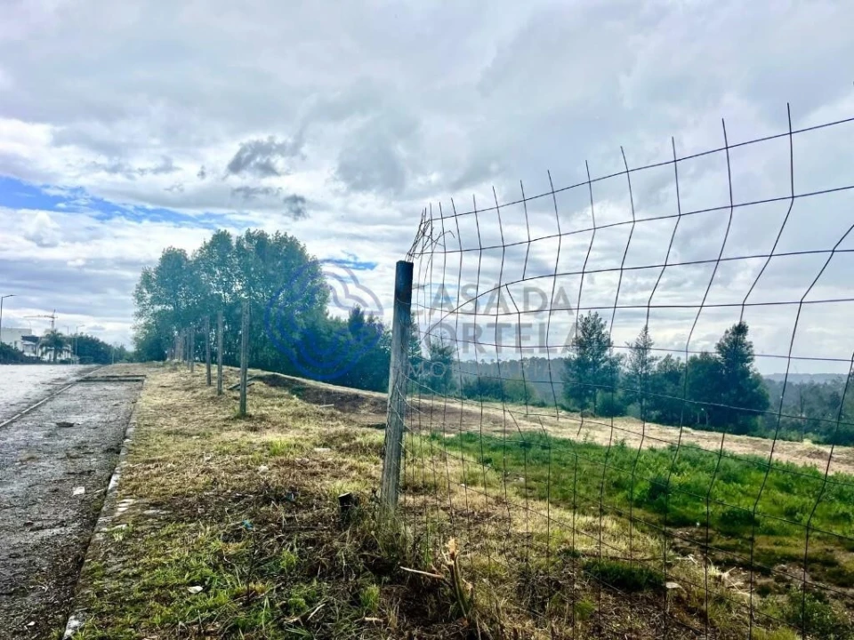 Terreno para Venda em Nogueira do Cravo e Pindelo Foto 3