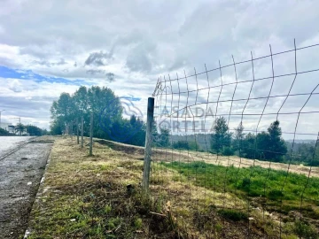 Terreno para Venda em Nogueira do Cravo e Pindelo
