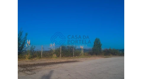 Terreno para Venda em Nogueira do Cravo e Pindelo
