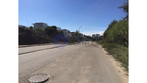 Terreno para Venda em Nogueira do Cravo e Pindelo