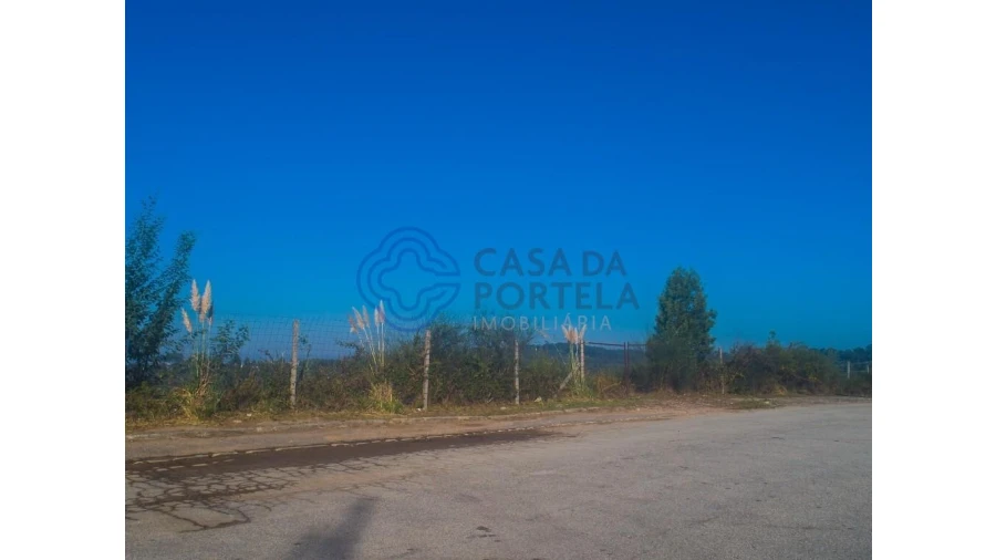 Terreno para Venda em Nogueira do Cravo e Pindelo Foto 14
