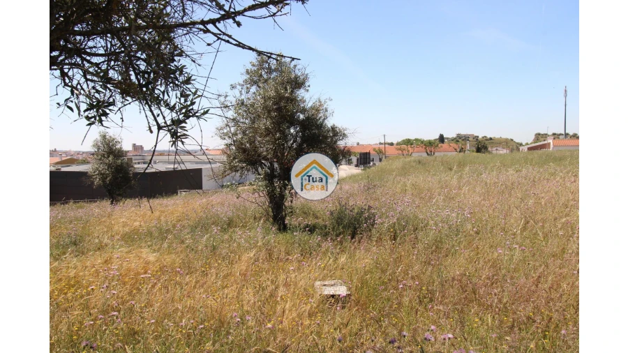 Terreno para Venda em Redondo Foto 17