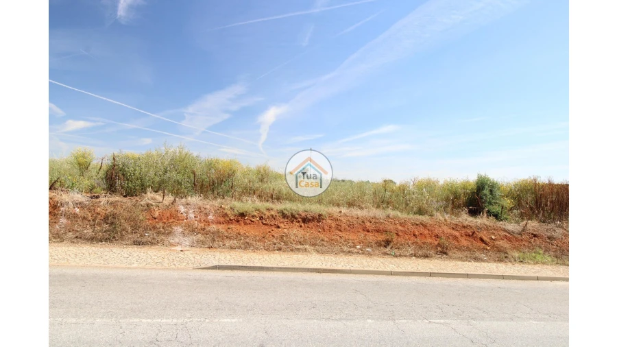 Terreno para Venda em Redondo Foto 4