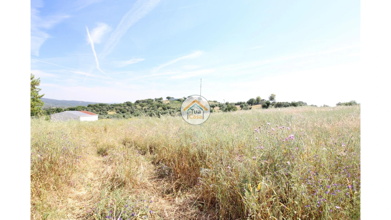 Terreno para Venda em Redondo Foto 13