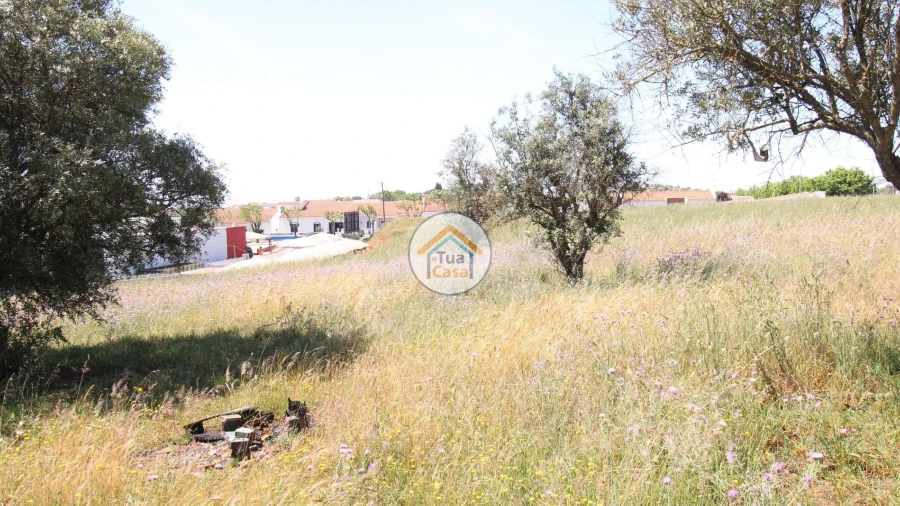 Terreno para Venda em Redondo
