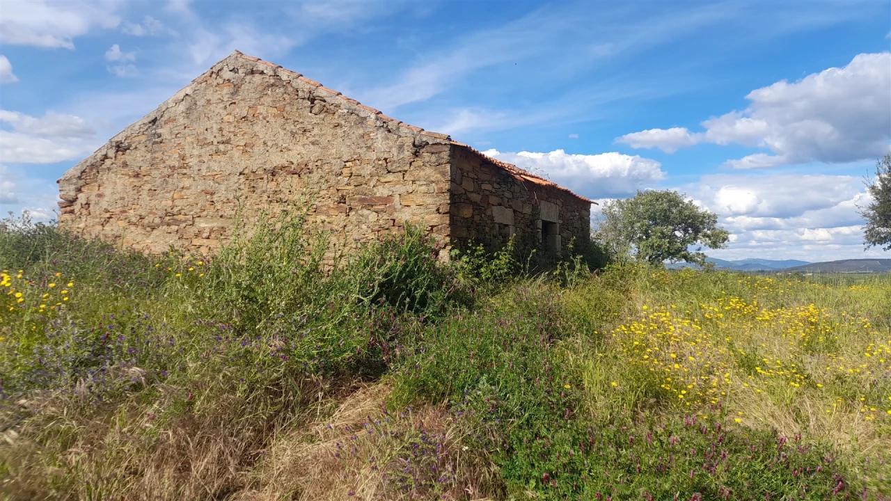 Quinta T0 para Venda em Enxames Foto 11