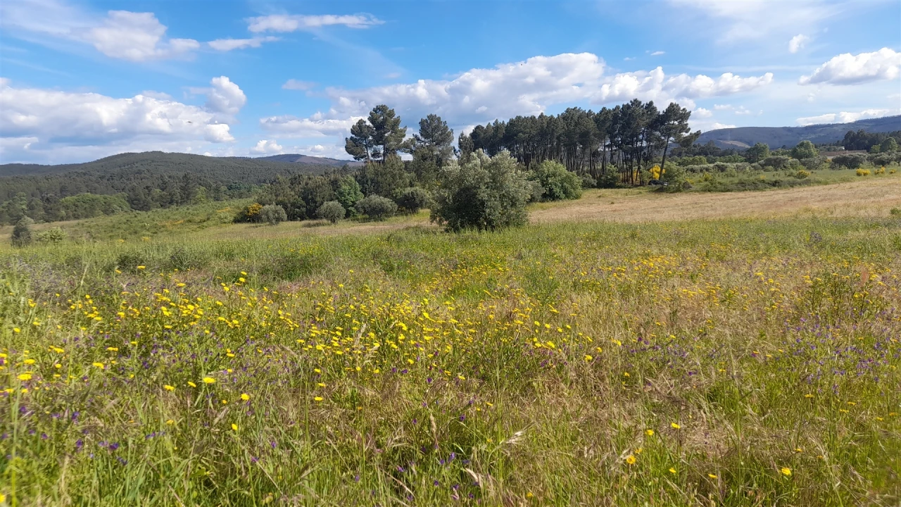 Quinta T0 para Venda em Enxames Foto 14