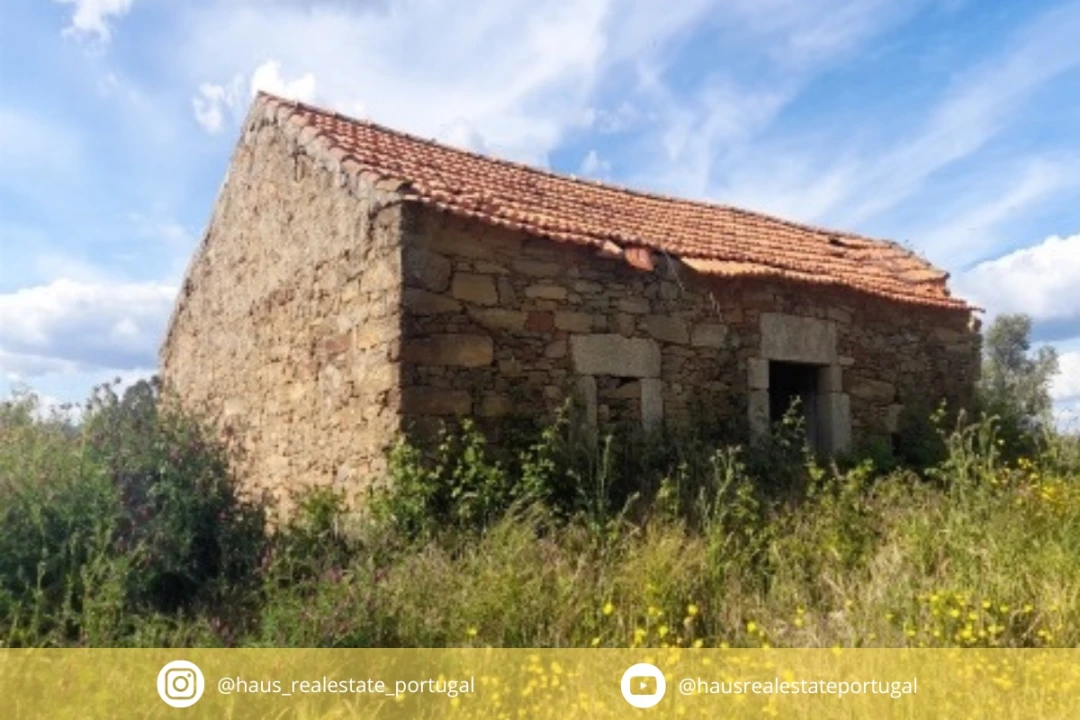 Quinta T0 para Venda em Enxames Foto 1