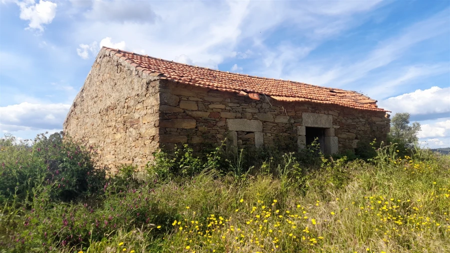 Quinta T0 para Venda em Enxames Foto 2