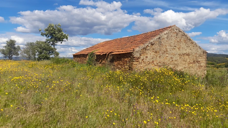 Quinta T0 para Venda em Enxames Foto 13