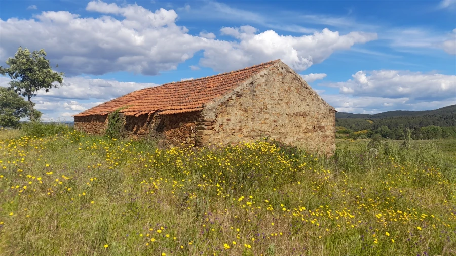 Quinta T0 para Venda em Enxames Foto 12