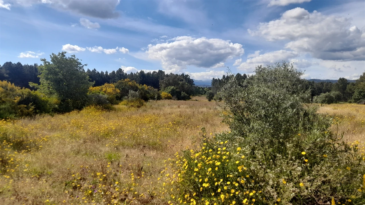 Quinta T0 para Venda em Enxames Foto 5