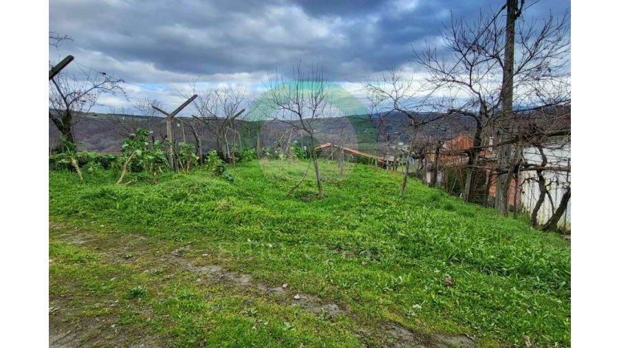 Moradia T4 para Venda em Paço Foto 3